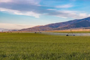 Irrigation system watering a lush green field with mountains in the background, demonstrating the importance of groundwater use and Idaho water rights for agriculture.