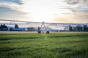 A scenic image of an irrigated agricultural field in Idaho, featuring a large pivot irrigation system extending across green grass under a soft sunrise or sunset. The farm structures and distant hills in the background highlight the importance of water access in maintaining productive land. For farmers wondering how much are water rights worth in Idaho, this image illustrates the value of water in sustaining Idaho's agricultural landscape.