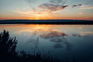 A tranquil sunset over a calm Idaho water body, reflecting the soft oranges and blues of the sky. Silhouetted plants line the water's edge, emphasizing the serenity of the scene. This peaceful image serves as a reminder of the critical value of water resources in the state. For those asking how much are water rights worth in Idaho, this scenic view highlights the essential role of water in sustaining both natural beauty and vital resources.